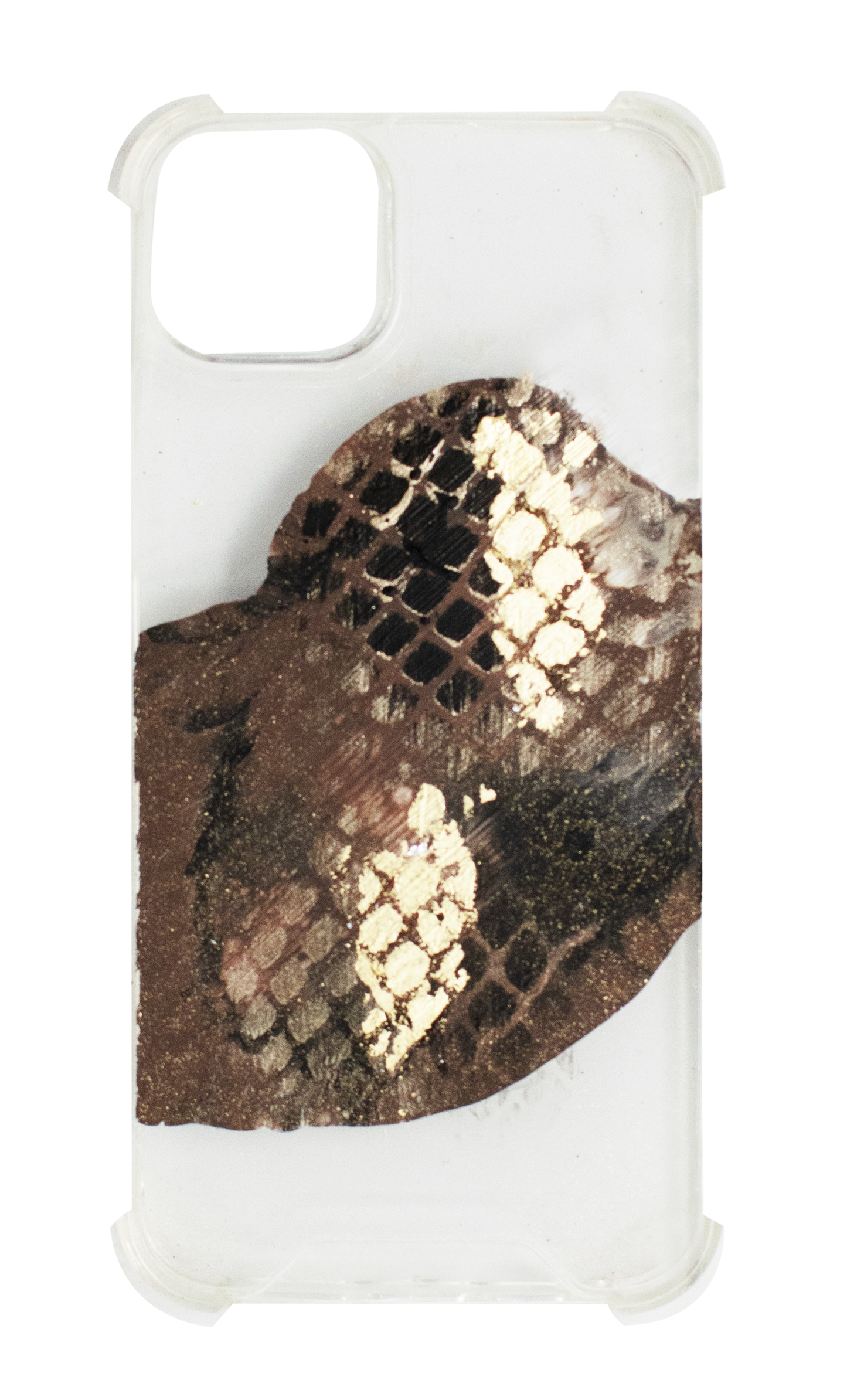 14Plus Brown Snake + Transparente FL252