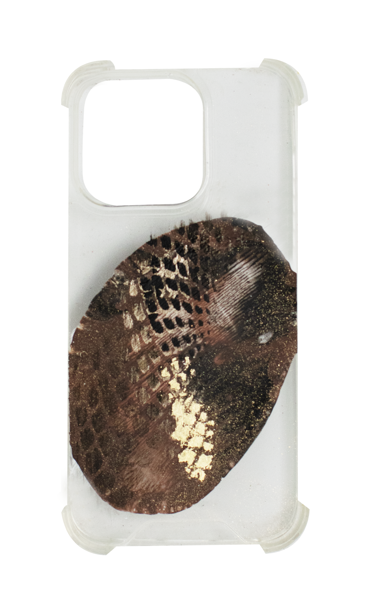 14Pro Brown Snake + transparente FL90