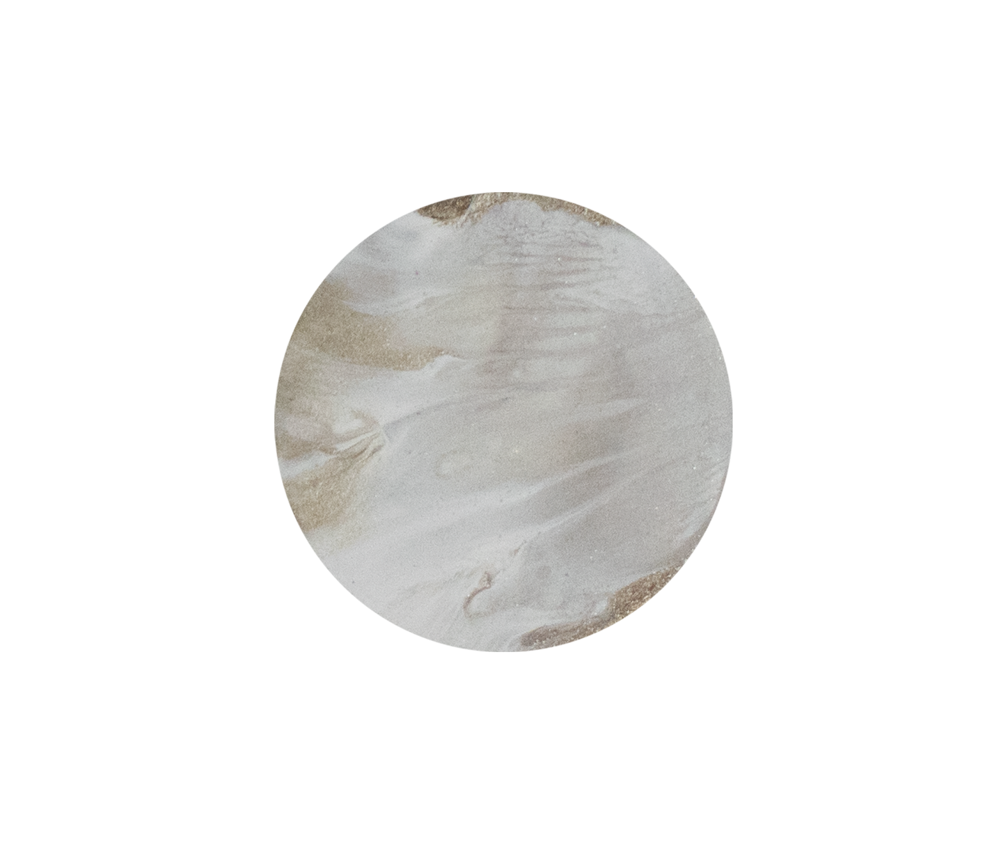 Holder Seashell K66