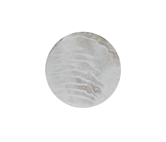 Holder Seashell K47