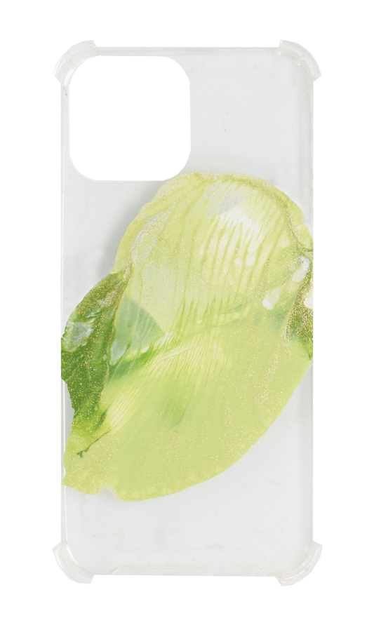 13ProMax Matcha + transparente H124